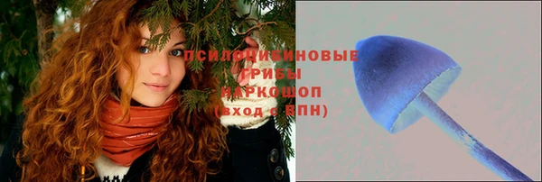 mdpv Бугульма