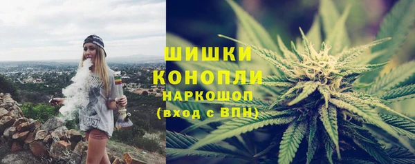таблы Бородино