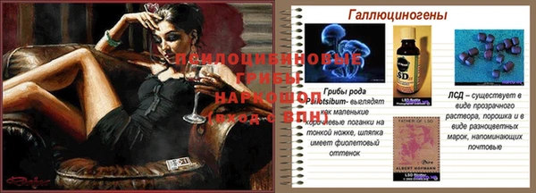 таблы Бородино