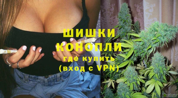 таблы Бородино